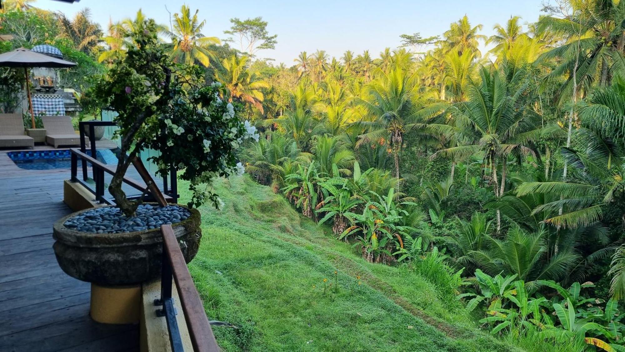 Puri Sebali Resort Ubud  Exterior photo